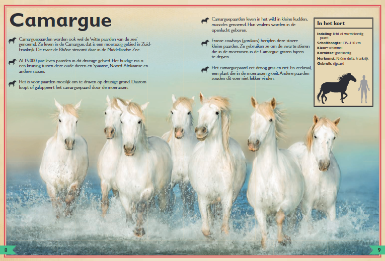 UITGEVERIJ GOTTMER | Het allermooiste boek over paarden
