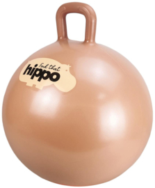 FIND THAT HIPPO | Skippybal oranje