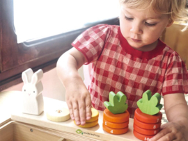 TENDER LEAF TOYS | Stapel- en telspel wortels