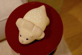 ATELIER PIERRE JUNIOR | Nachtlamp projector Juliette Dino - Zand
