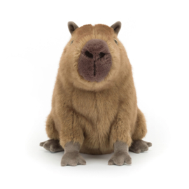 JELLYCAT | Knuffel Capybara Clyde - 24 x 21 cm