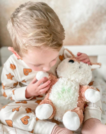 CLOUD B | Knuffelree met nachtlamp & geluid - lovelight buddies