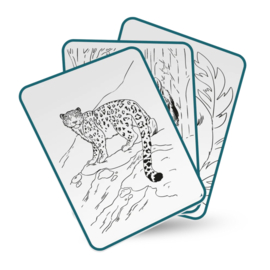 KIDYWOLF | Tekenbord kidydraw pad - dieren