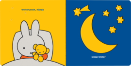 MERCIS | Weltrusten  Nijntje - met lichtjes