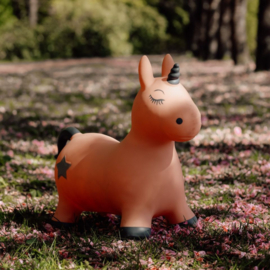 FIND THAT HIPPO | Skippydier eenhoorn