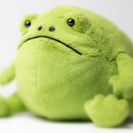 JELLYCAT | Knuffel kikker Ricky - 15 x 16 x 18 cm