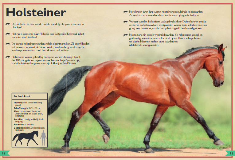 UITGEVERIJ GOTTMER | Het allermooiste boek over paarden
