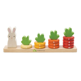 TENDER LEAF TOYS | Stapel- en telspel wortels