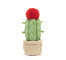 JELLYCAT | Amuseable Knuffel Maancactus - Moon Cactus - 21 x 7 cm
