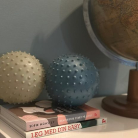 FIND THAT HIPPO | Sensorische ballen blauw - 2 st