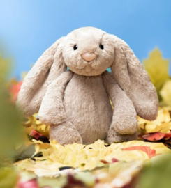 JELLYCAT | Knuffel Bashful Konijn Beige -  Beige Bunny (13 cm)