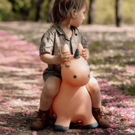 FIND THAT HIPPO | Skippydier eenhoorn