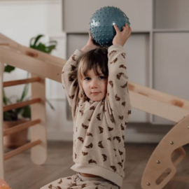 FIND THAT HIPPO | Sensorische ballen blauw - 2 st