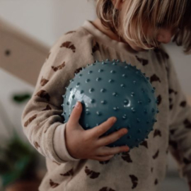 FIND THAT HIPPO | Sensorische ballen blauw - 2 st