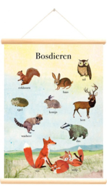 LITTLE & PURE | Schoolplaat Bosdieren - Grootzus