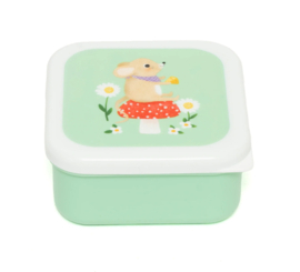 PETIT MONKEY | Snackdoosjes animals picnic - 3 st