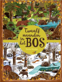 KINDERBOEK | Twaalf maanden in het bos (2+)