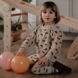 FIND THAT HIPPO | Sensorische ballen roze - 2 st