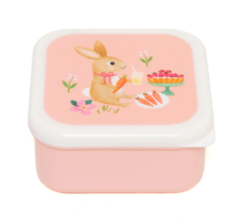 PETIT MONKEY | Snackdoosjes animals picnic - 3 st