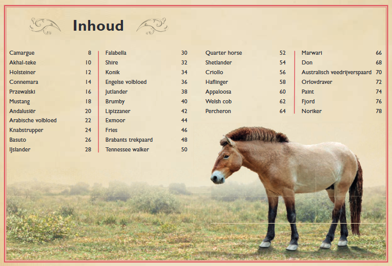 UITGEVERIJ GOTTMER | Het allermooiste boek over paarden