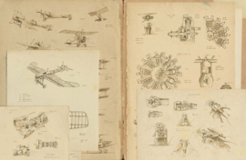 DE VIER WINDSTREKEN | Earhart, De avontuurlijke reis van een muis rond de wereld