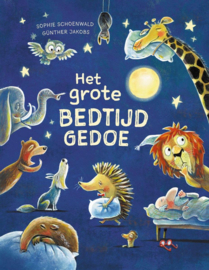 KINDERBOEK | Het grote bedtijd gedoe (3+)