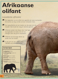 UITGEVERIJ GOTTMER | Het allermooiste boek over wilde dieren