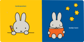 MERCIS | Weltrusten  Nijntje - met lichtjes