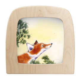 TOVERLUX | Toverplaat vos