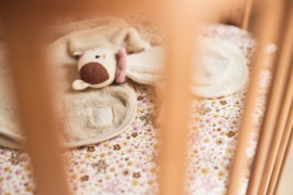 JOLLEIN | Speendoekje kat Jill