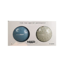 FIND THAT HIPPO | Sensorische ballen blauw - 2 st