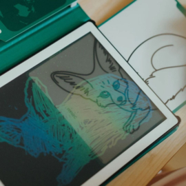 KIDYWOLF | Kidydraw mini extra tekenkaarten - werelddieren & piraten