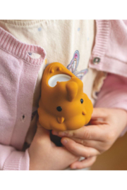 RABBIT & FRIENDS | Zaklamp leeuw