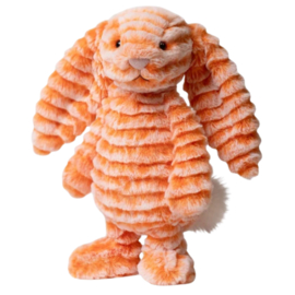 JELLYCAT | Bashful knuffel konijn fizzleskip - 31 x 12 x 9 cm