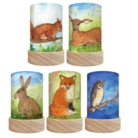 TOVERLUX | Lantaarn silhouet bosdieren - 5 st