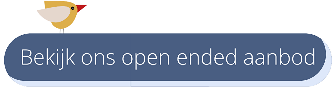 Ontdek open ended speelgoed