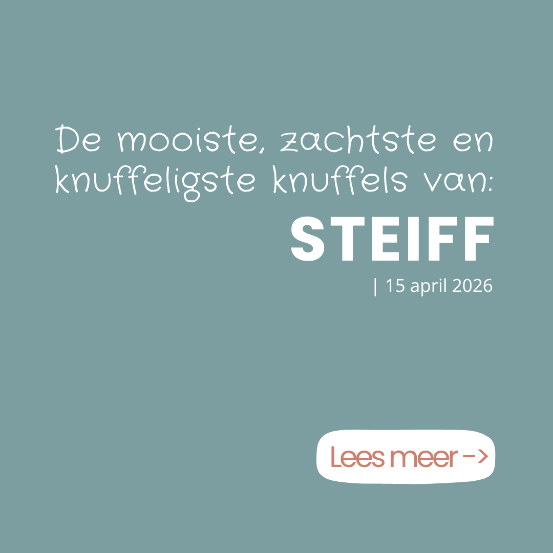 Blog Steiff