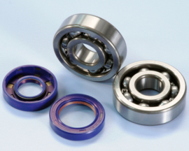 Polini cranckshaft bearing/joint kit AM6 engine