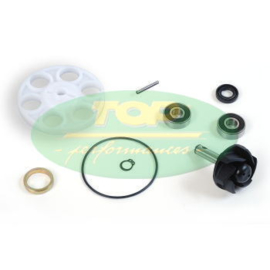 Waterpomprevisie kit minarelli H²O motor