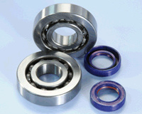 Polini crankshaft bearing/joint kit piaggio