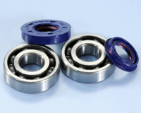 Polini crankshaft bearing kit incl. joints minarelli Hor/Vert.