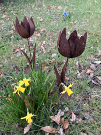 Roest metalen tulp, 28cm