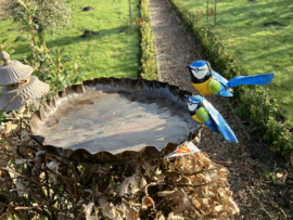 Waterschaal, pimpelmeesjes