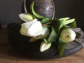 Witte tulpen 32cm