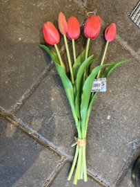 Tulpen 38cm licht rood.