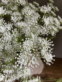 Fluitekruid, kunst 61cm wit