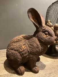 Haasje in roest verf