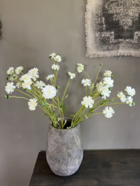 Korenbloem madelon creme
