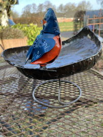 Water/voederschaal op voet, ijsvogeltje