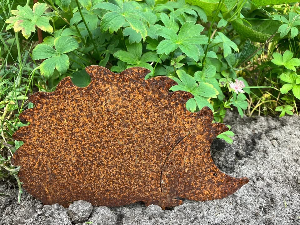 Roest metalen egel